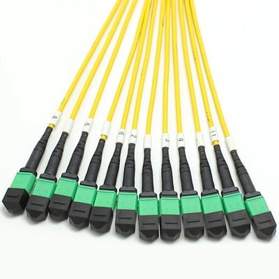 Cabos MPO Fanout de baixa perda Núcleo de grande quantidade 1M 144F SMG657A1 MPO APC para MPO APC Breakout Fiber Optic Patch Cord